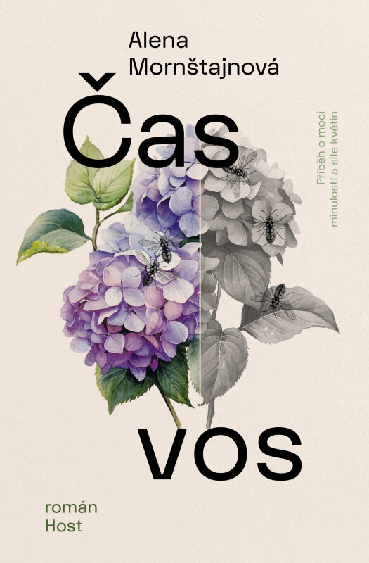 cas-vos.jpg